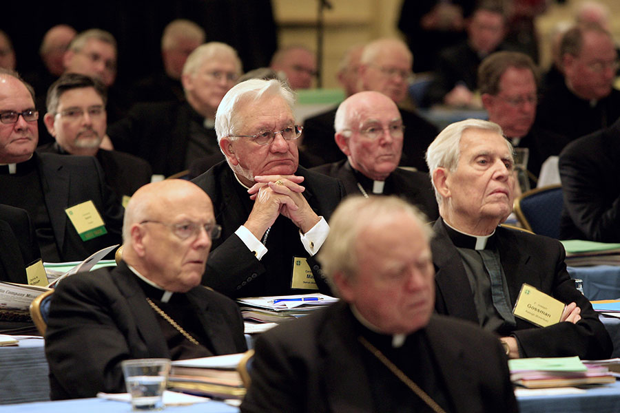 Tường thuật về phiên họp khoáng đại của Hội Đồng Giám Mục Hoa Kỳ